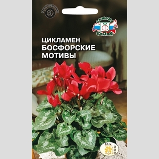 Цикламен Босфорские мотивы - Семена Тут