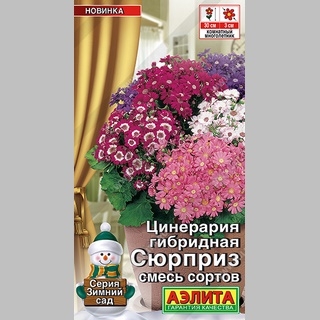 Цинерария Сюрприз смесь (гибридная) - Семена Тут