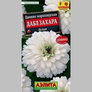 Цинния Дабл Захара белая - Семена Тут