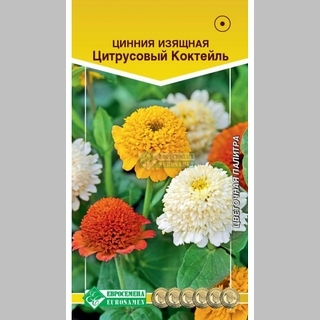 Цинния Цитрусовый Коктейль - Семена Тут