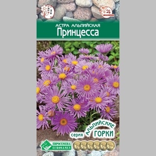 Астра Принцесса (альпийская) - Семена Тут