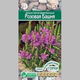 Физостегия Розовая башня (виргинская) - Семена Тут
