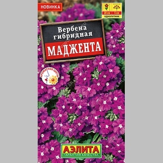 Вербена Маджента - Семена Тут
