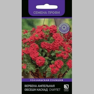 Вербена Обсешн Каскад Скарлет (Семена Профи) - Семена Тут