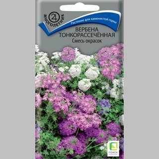 Вербена тонкорассеченная Смесь окрасок - Семена Тут