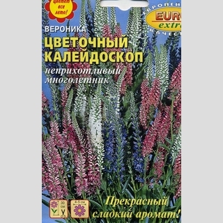 Вероника Цветочный калейдоскоп смесь (большой пакет) - Семена Тут