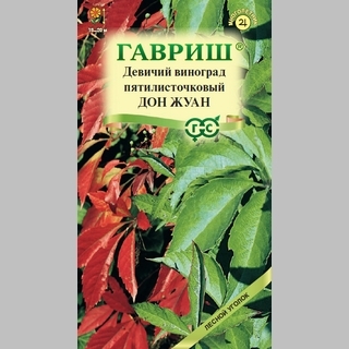 Девичий виноград Дон Жуан - Семена Тут