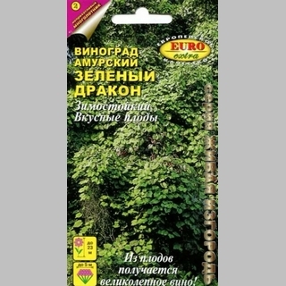 Виноград Зелёный дракон (амурский) - Семена Тут