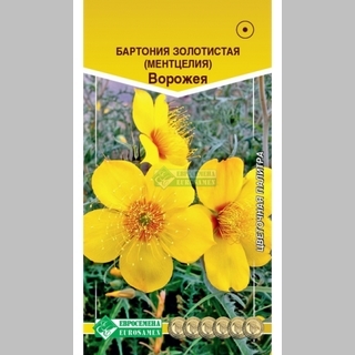 Бартония Ворожея золотистая (ментцелия) - Семена Тут