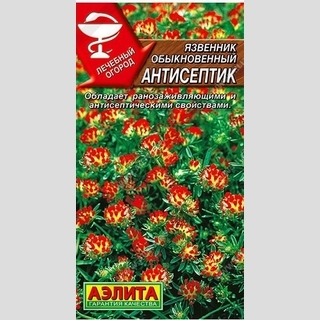 Язвенник Антисептик - Семена Тут