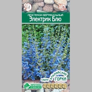 Пенстемон Электрик блю вертикальный - Семена Тут