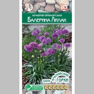 Армерия Балерина Лилак (приморская) - Семена Тут