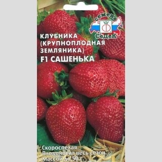 Земляника Сашенька F1 крупноплодная ремонтантная - Семена Тут