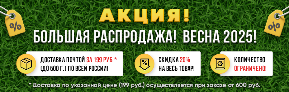 928х297B