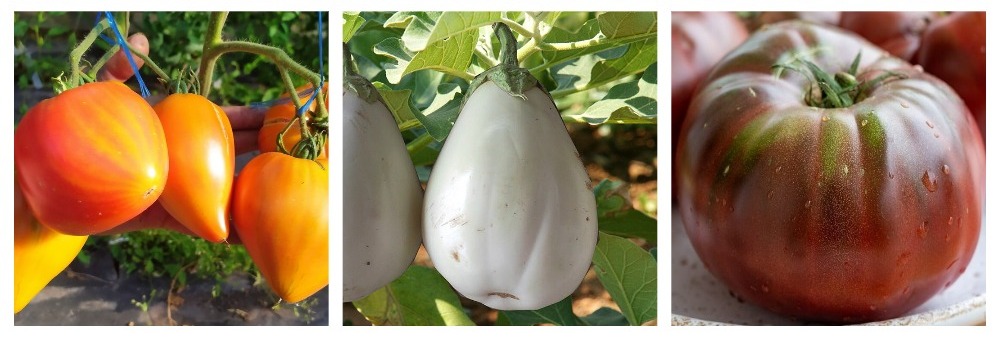 nnn15